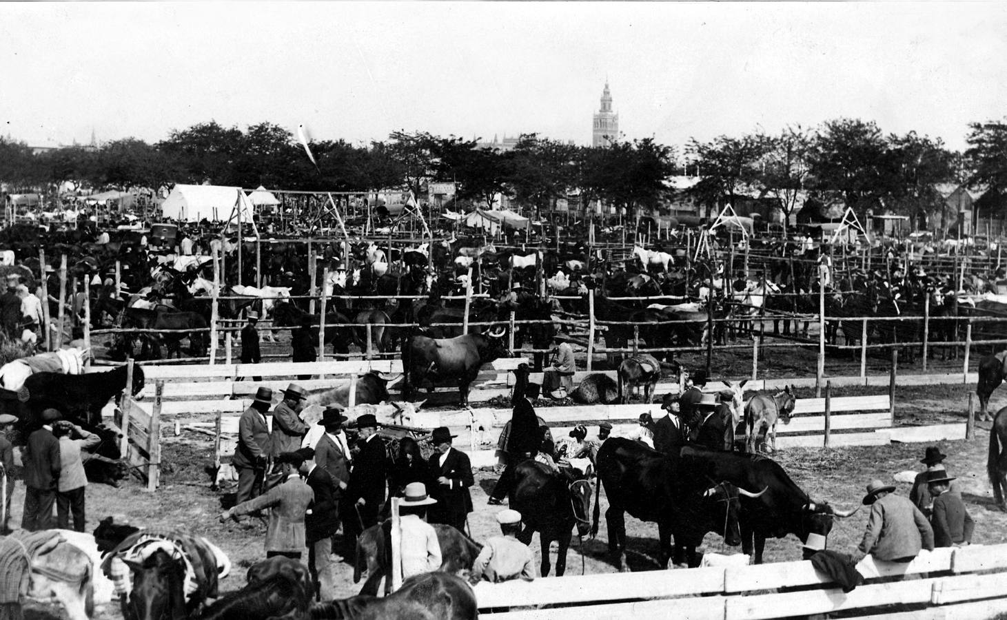 Mercado de ganados en el Prado de San Sebastián durante la Feria de Abril de Sevilla de 1926
