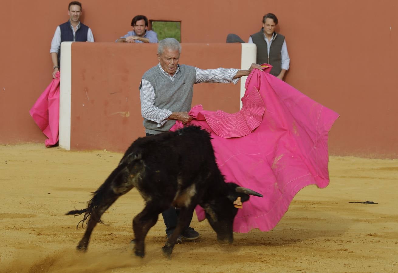 Antonio Ruiz 'Espartaco' celebró su ochenta cumpleaños toreando con los 'suyos'