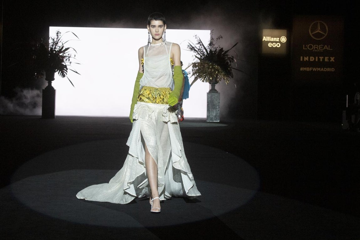 Colección de Guillermo Décimo. 