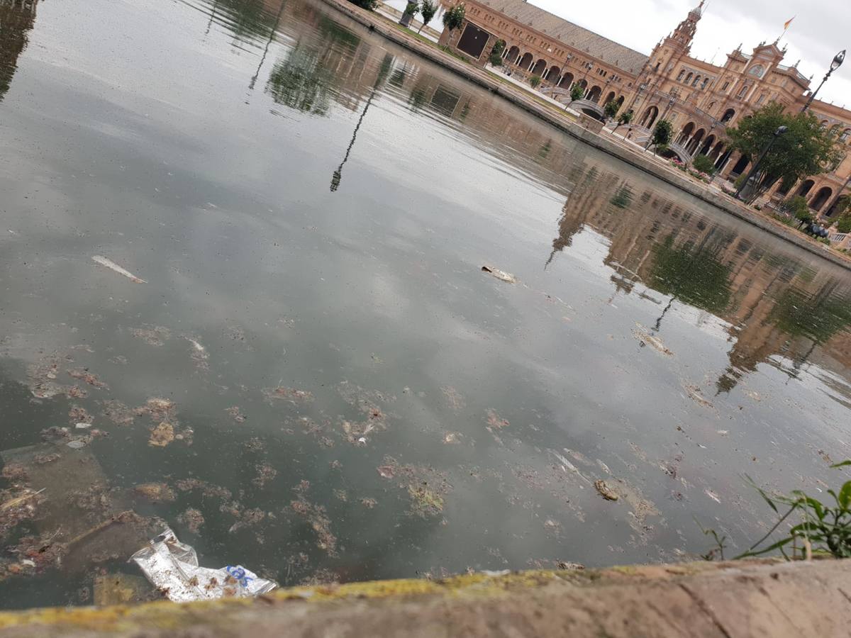 El mal estado de los parques de Sevilla, en imágenes