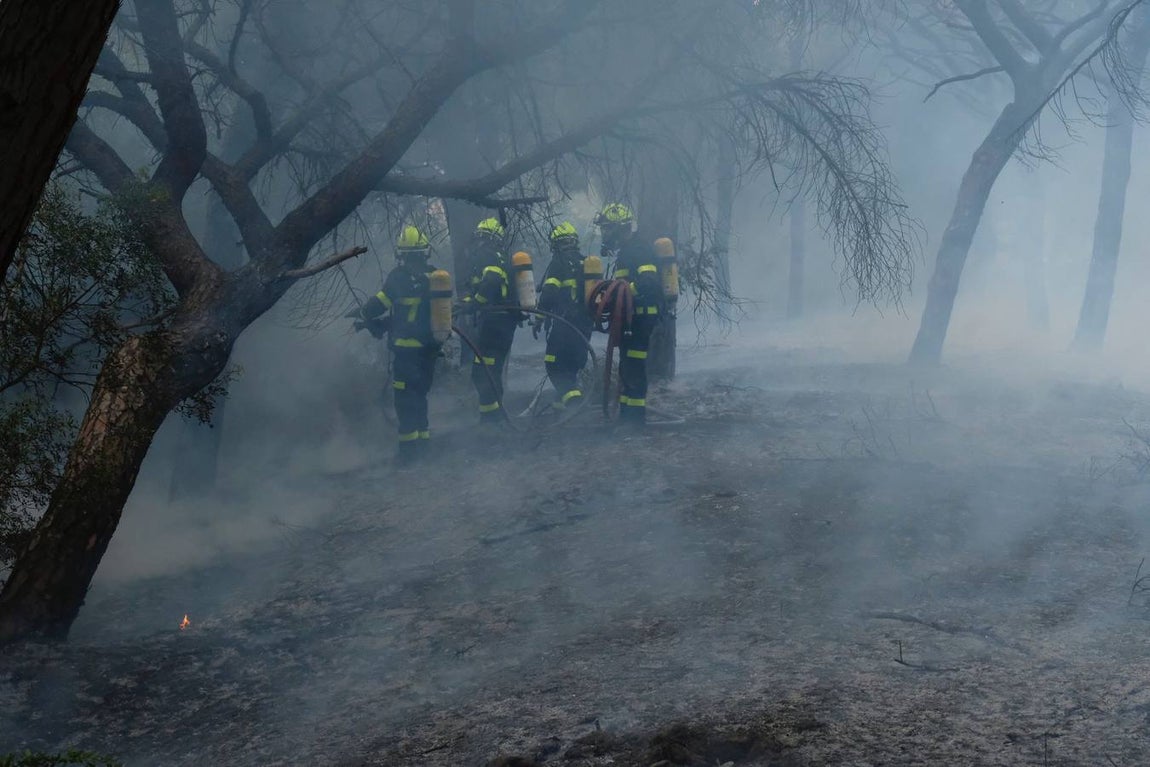 Las imágenes de la protesta de los trabajadores de Airbus en el puente y el fuego provocado en el Pinar