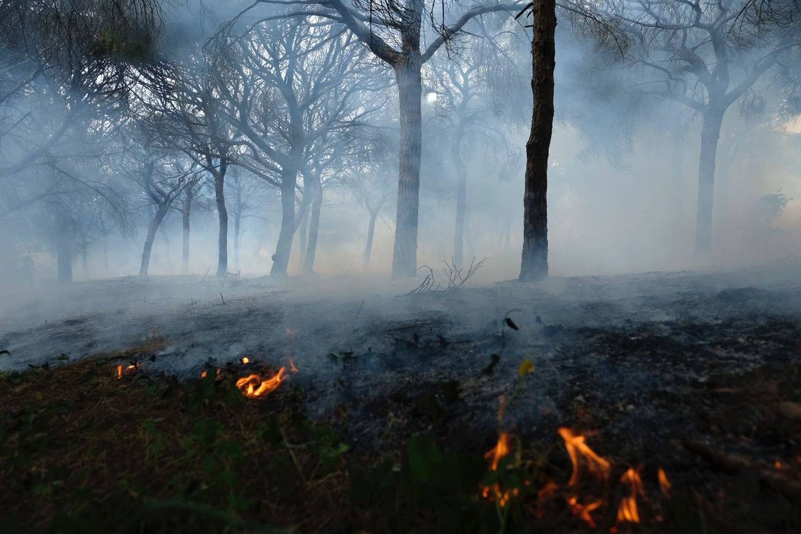 Las imágenes de la protesta de los trabajadores de Airbus en el puente y el fuego provocado en el Pinar