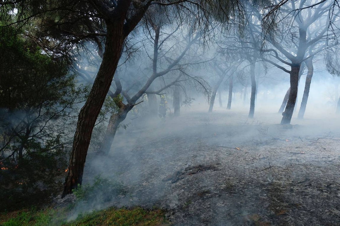 Las imágenes de la protesta de los trabajadores de Airbus en el puente y el fuego provocado en el Pinar