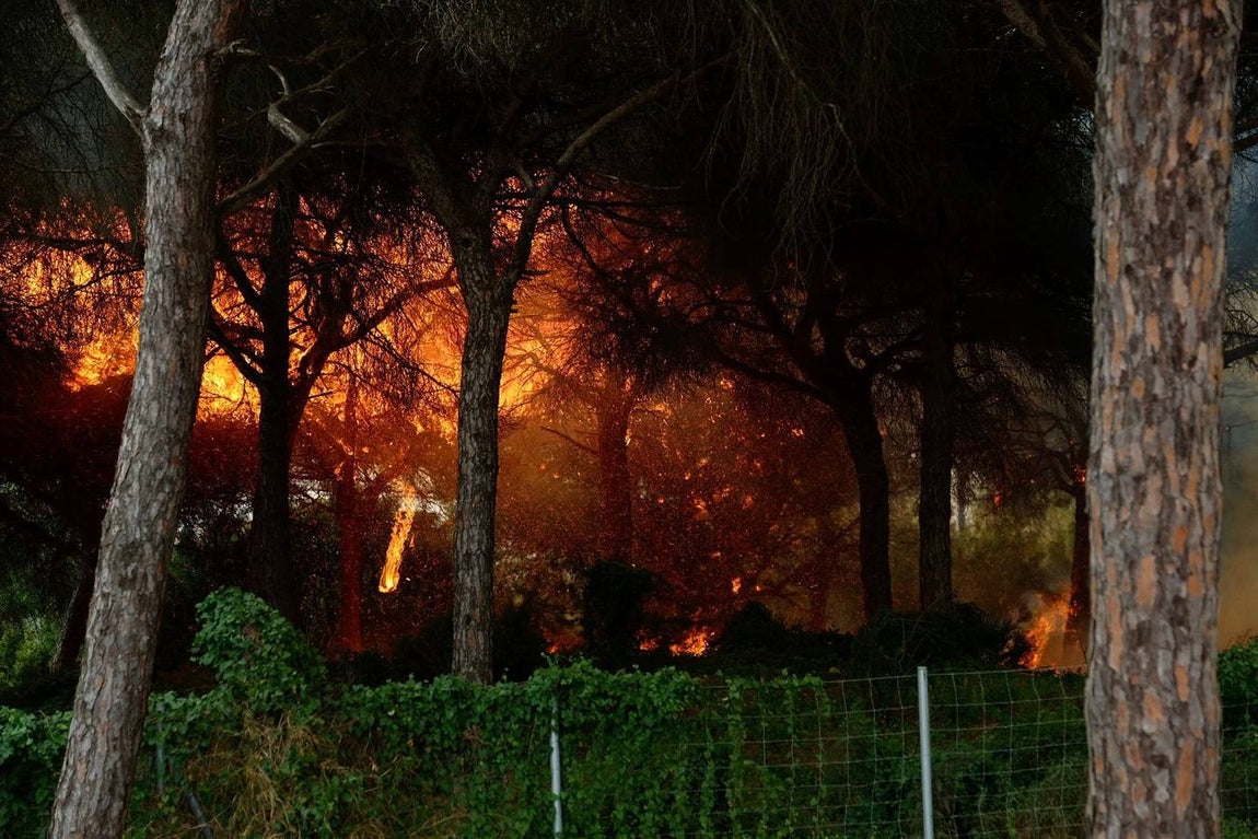 Las imágenes de la protesta de los trabajadores de Airbus en el puente y el fuego provocado en el Pinar