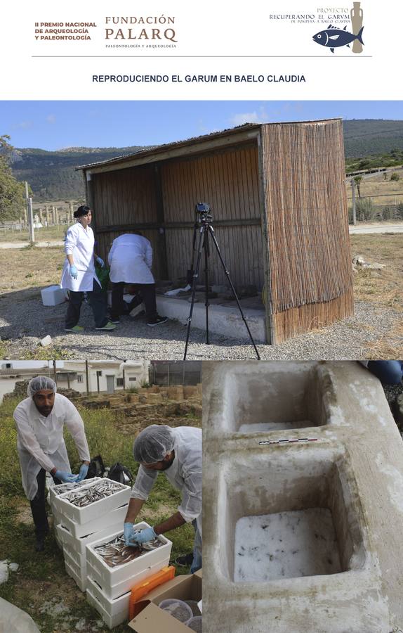 Fotos: Recuperando el Garum, de Pompeya a Baelo Claudia