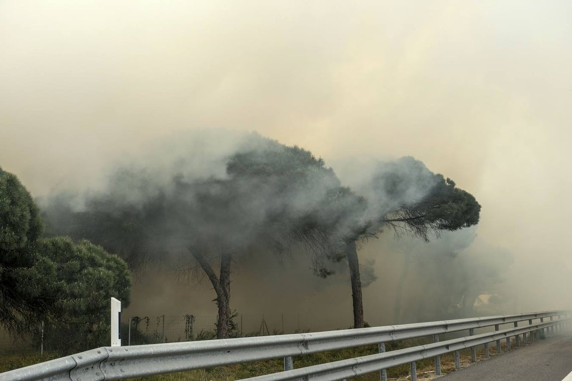 Las imágenes de la protesta de los trabajadores de Airbus en el puente y el fuego provocado en el Pinar