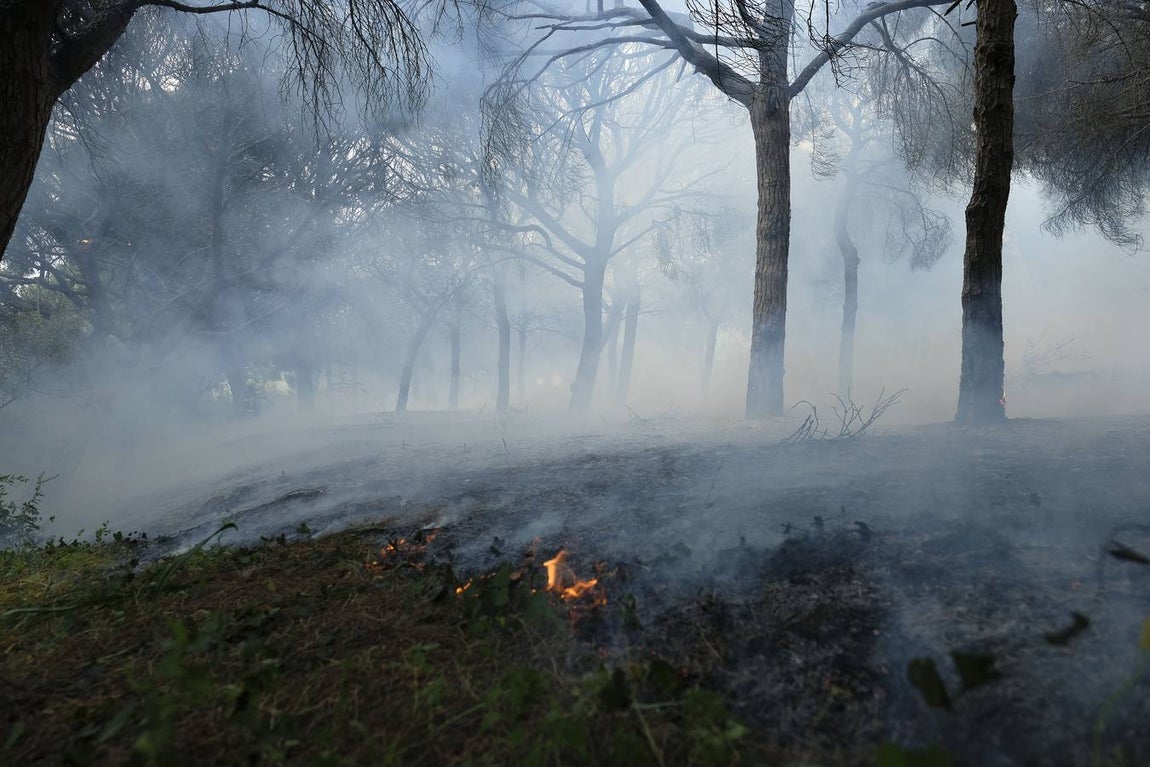 Las imágenes de la protesta de los trabajadores de Airbus en el puente y el fuego provocado en el Pinar