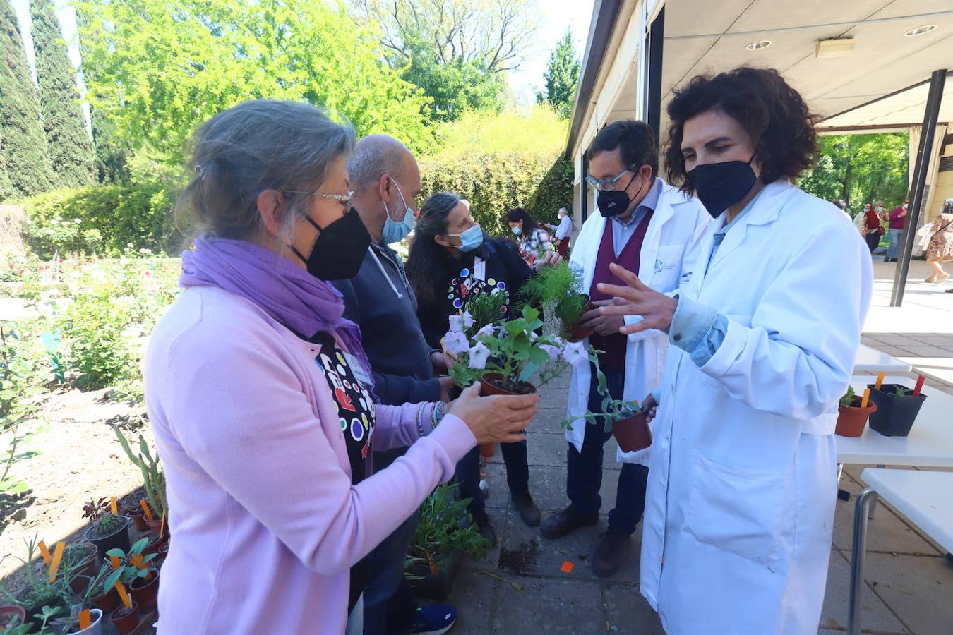 El Mercado del Trueque de plantas del Botánico de Córdoba, en imágenes