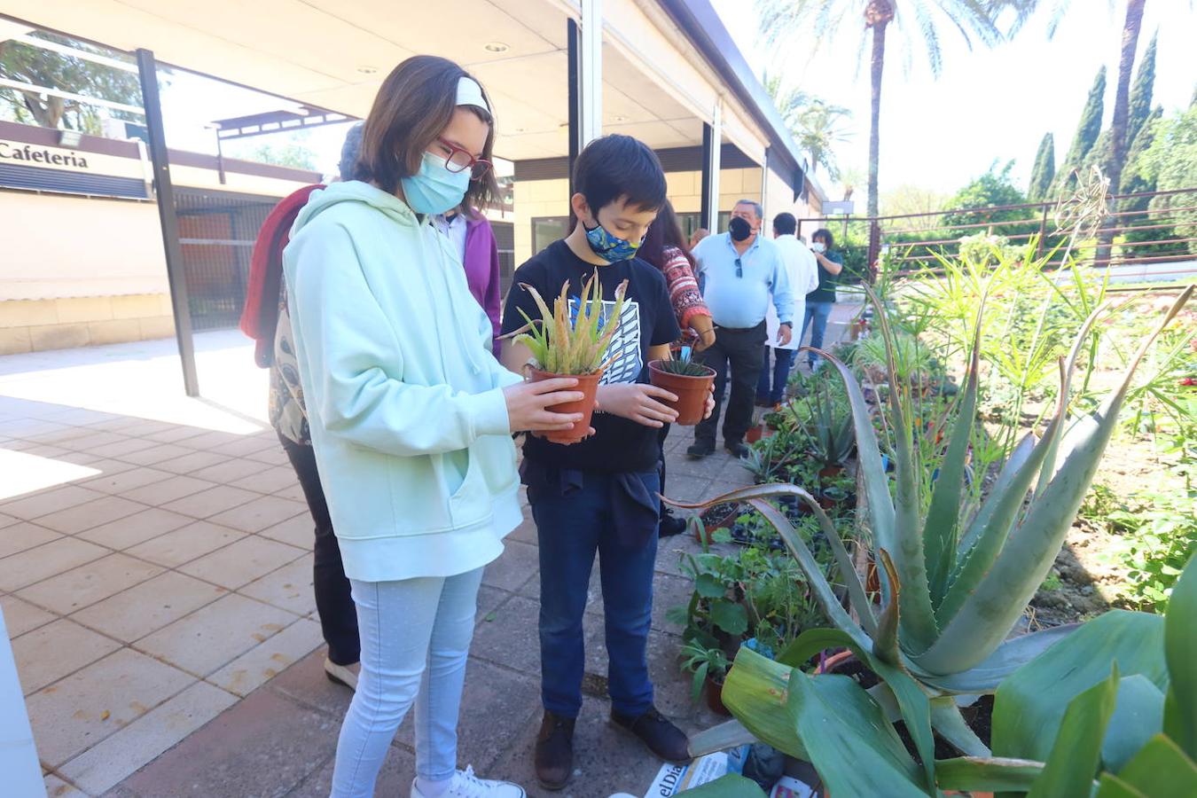 El Mercado del Trueque de plantas del Botánico de Córdoba, en imágenes