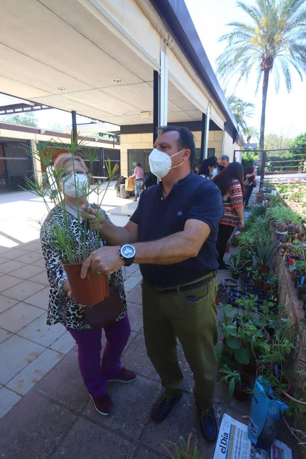 El Mercado del Trueque de plantas del Botánico de Córdoba, en imágenes