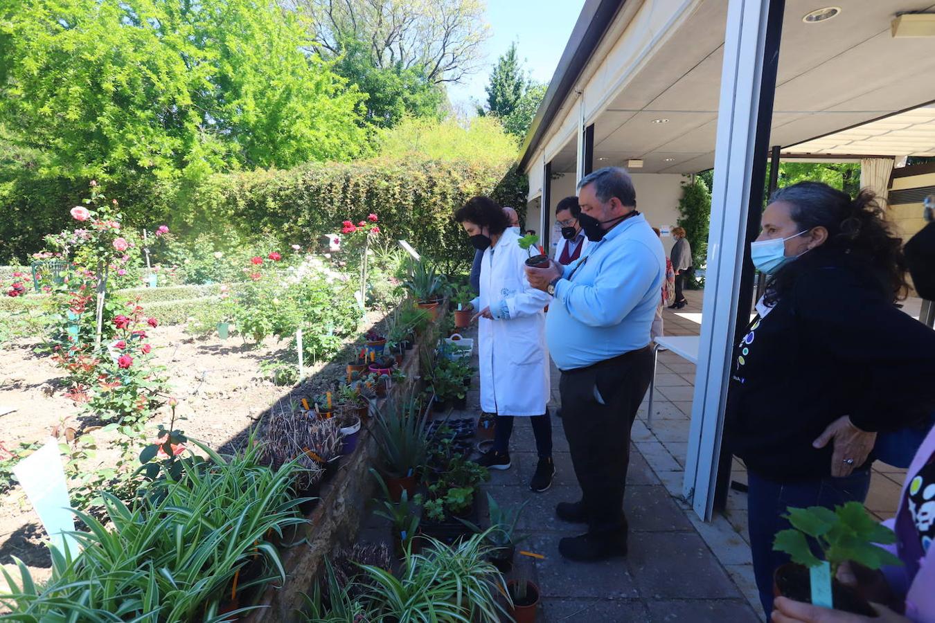 El Mercado del Trueque de plantas del Botánico de Córdoba, en imágenes