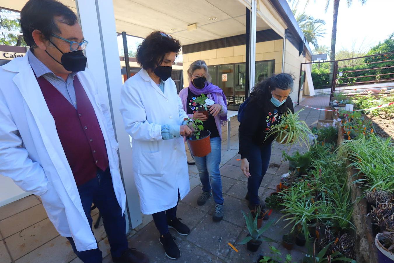 El Mercado del Trueque de plantas del Botánico de Córdoba, en imágenes