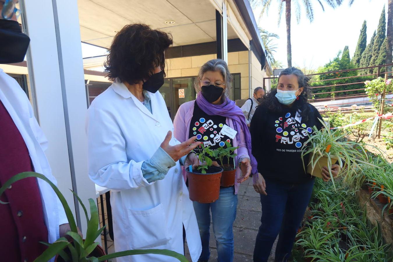 El Mercado del Trueque de plantas del Botánico de Córdoba, en imágenes