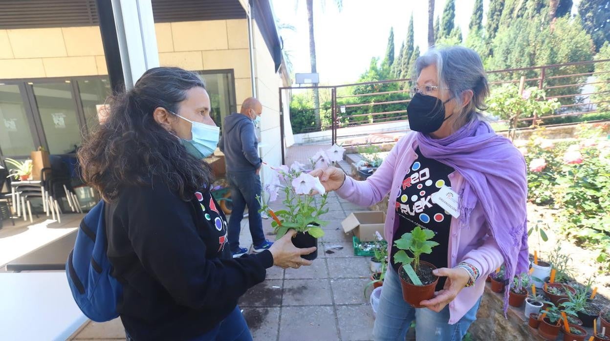 El Mercado del Trueque de plantas del Botánico de Córdoba, en imágenes