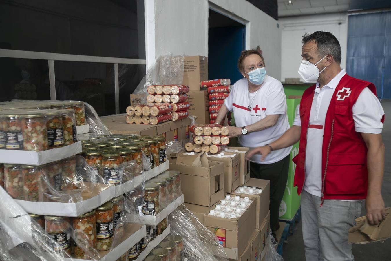 El reparto de alimentos de Cruz Roja de Córdoba, en imágenes