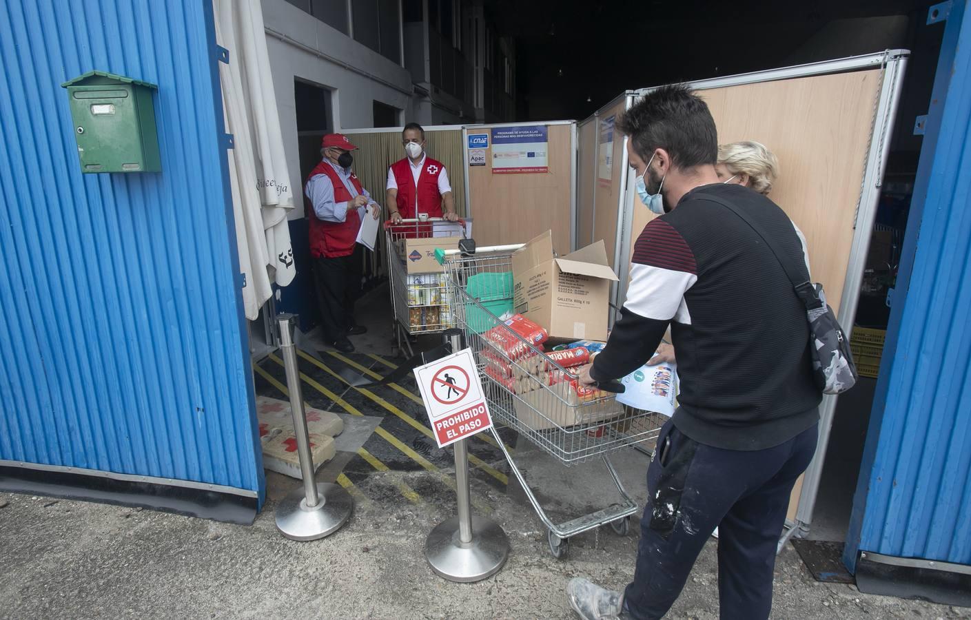 El reparto de alimentos de Cruz Roja de Córdoba, en imágenes