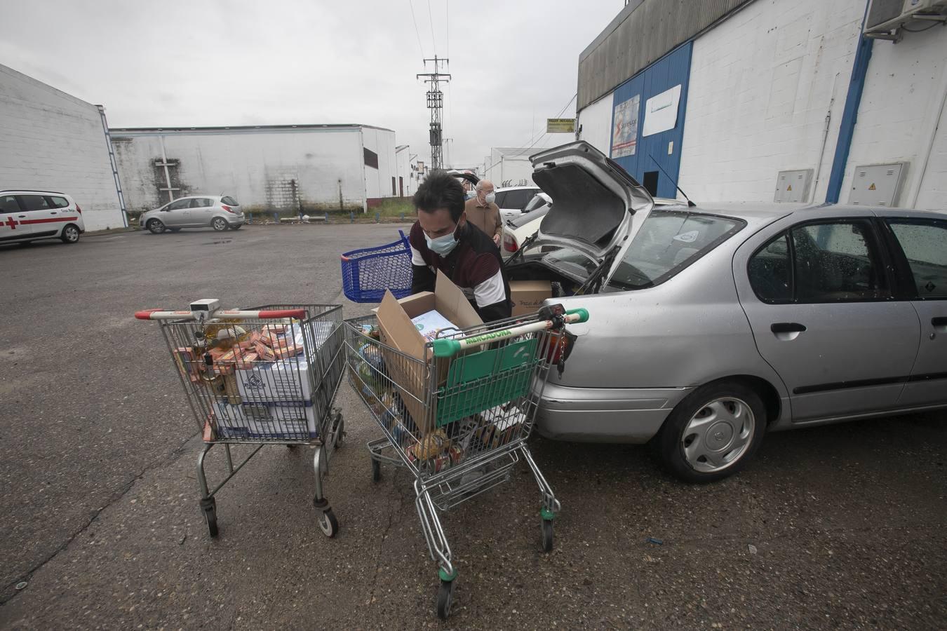 El reparto de alimentos de Cruz Roja de Córdoba, en imágenes