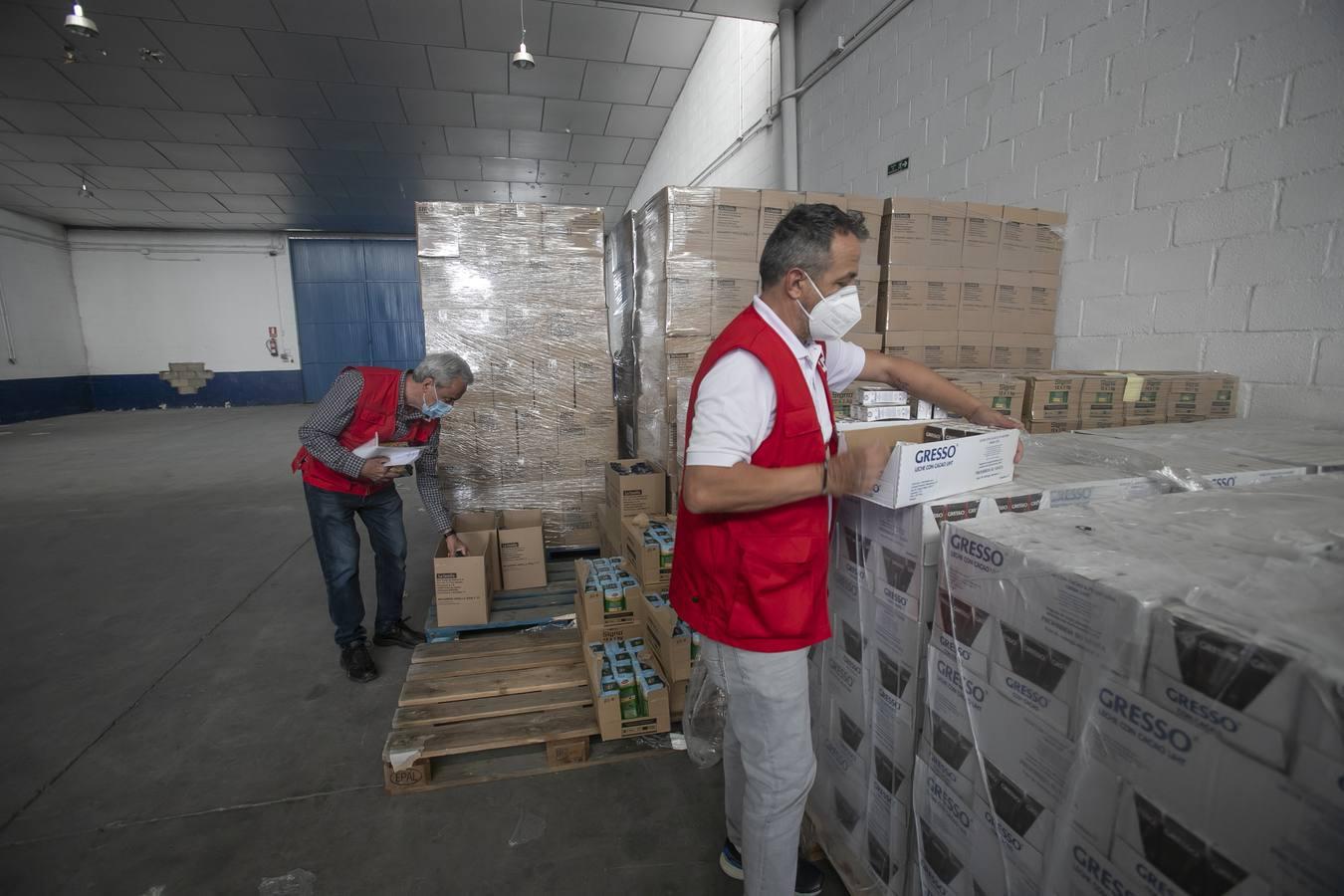 El reparto de alimentos de Cruz Roja de Córdoba, en imágenes