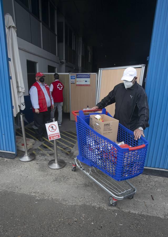 El reparto de alimentos de Cruz Roja de Córdoba, en imágenes