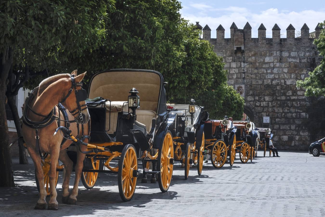 Los coches de caballos de Sevilla lanzan un SOS