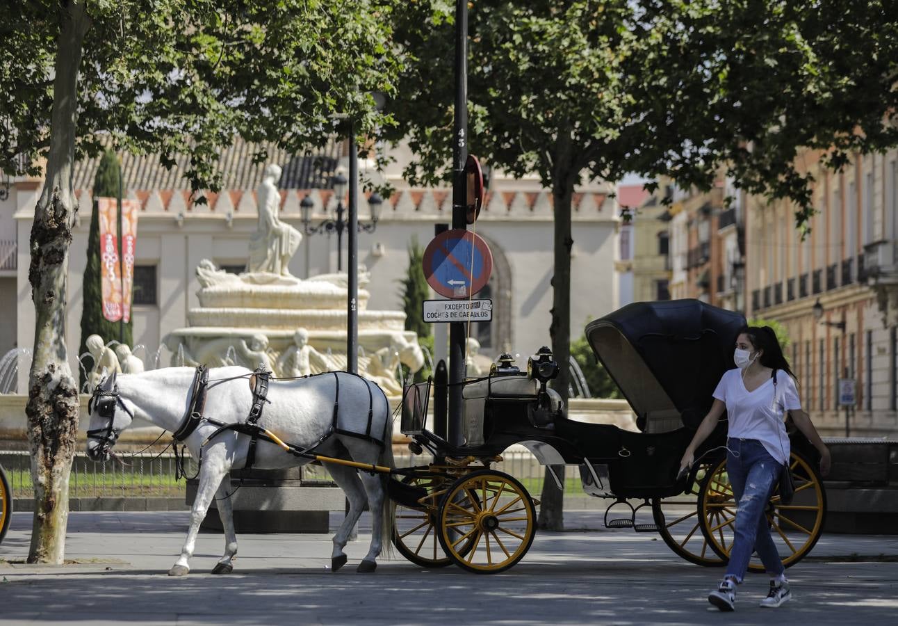 Los coches de caballos de Sevilla lanzan un SOS