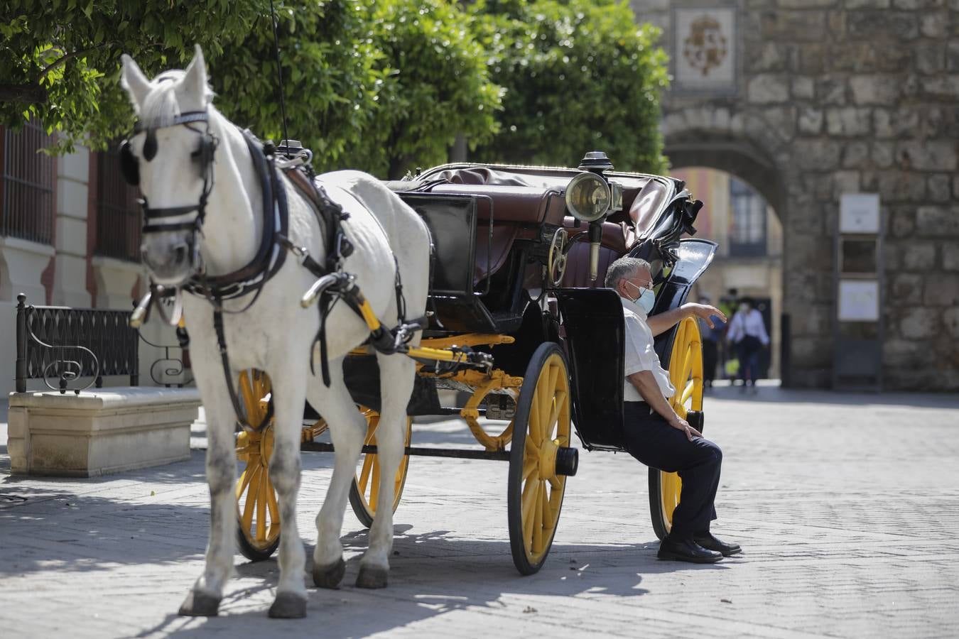 Los coches de caballos de Sevilla lanzan un SOS