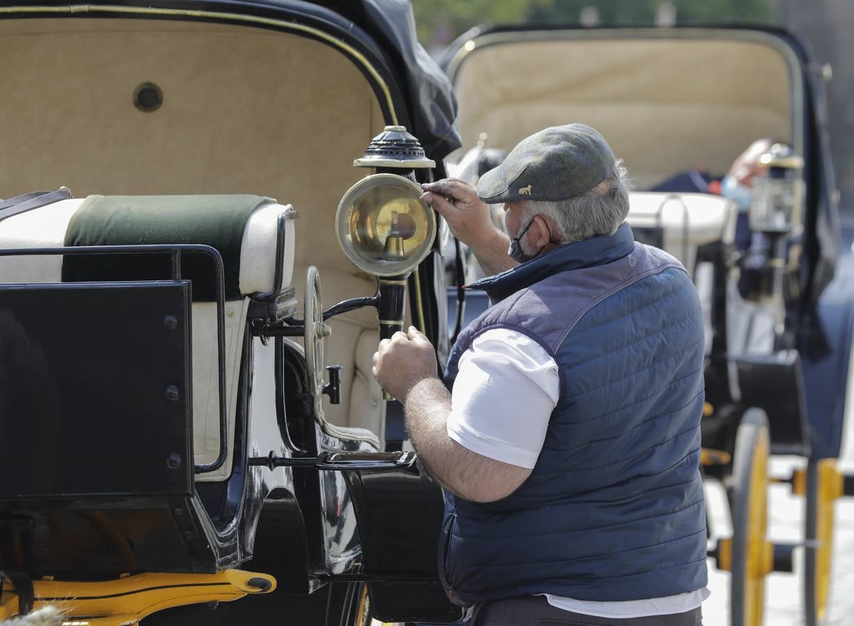 Los coches de caballos de Sevilla lanzan un SOS