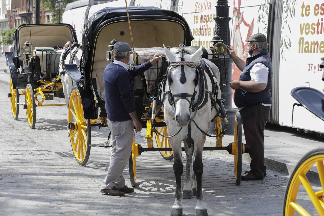 Los coches de caballos de Sevilla lanzan un SOS