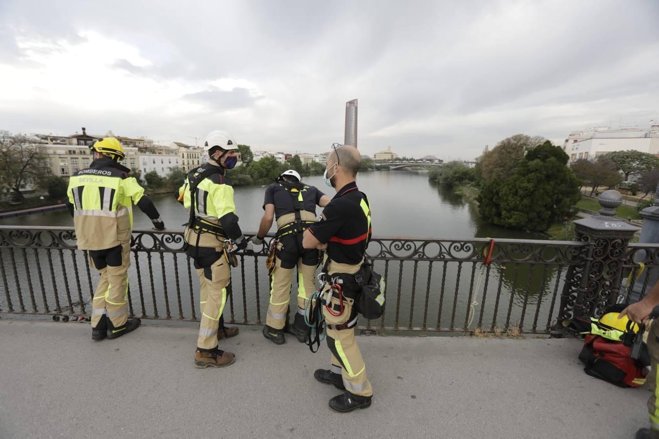 En fotos, la pancarta de Greenpeace en el puente de Triana, un BIC protegido