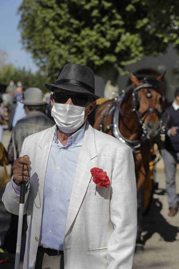 Paseo solidario en coche de caballos de ancianos de una residencia de Triana