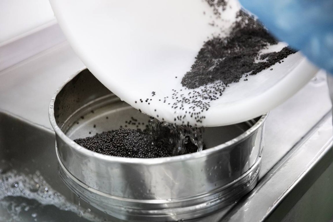 Distintas fases del proceso de elaboración del caviar de Río Frío