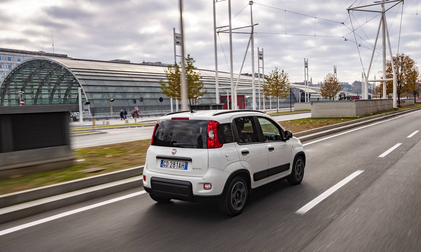 Fotogalería: Fiat panda, un cuarentón a la última