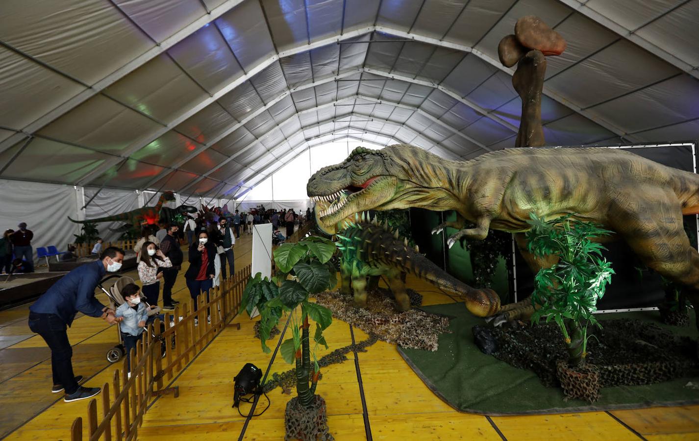 La carpa de Dinosaurs Tour en la Arruzafilla de Córdoba, en imágenes