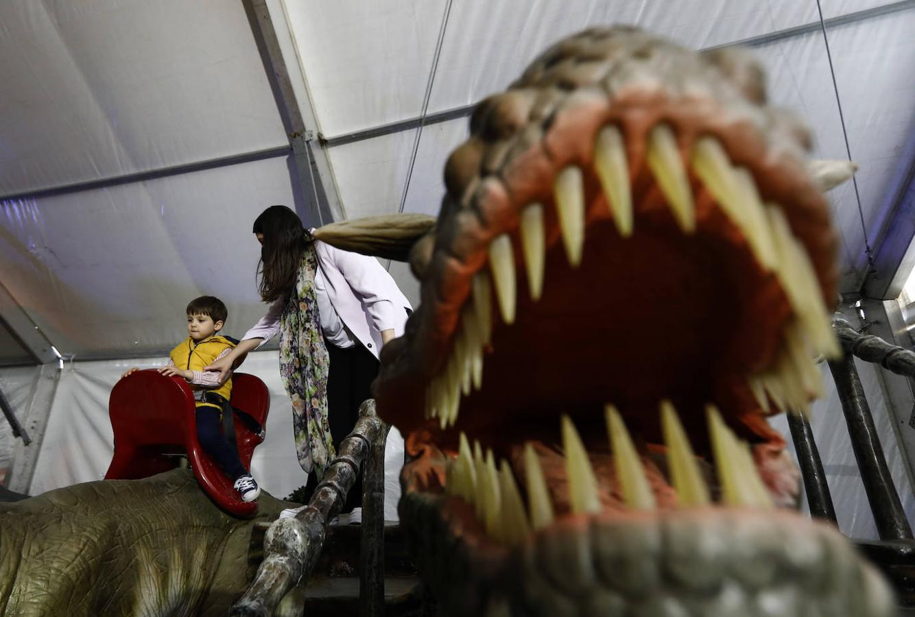 La carpa de Dinosaurs Tour en la Arruzafilla de Córdoba, en imágenes