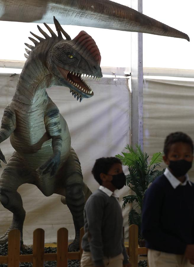 La carpa de Dinosaurs Tour en la Arruzafilla de Córdoba, en imágenes