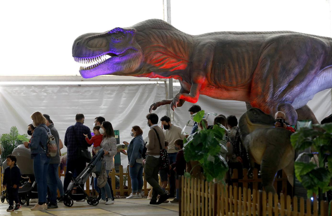 La carpa de Dinosaurs Tour en la Arruzafilla de Córdoba, en imágenes