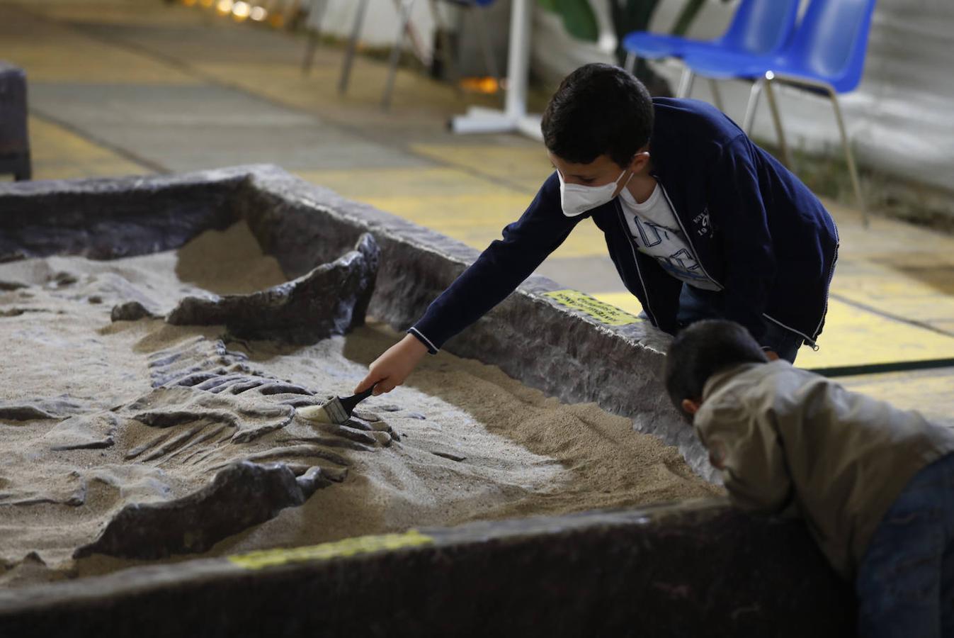 La carpa de Dinosaurs Tour en la Arruzafilla de Córdoba, en imágenes