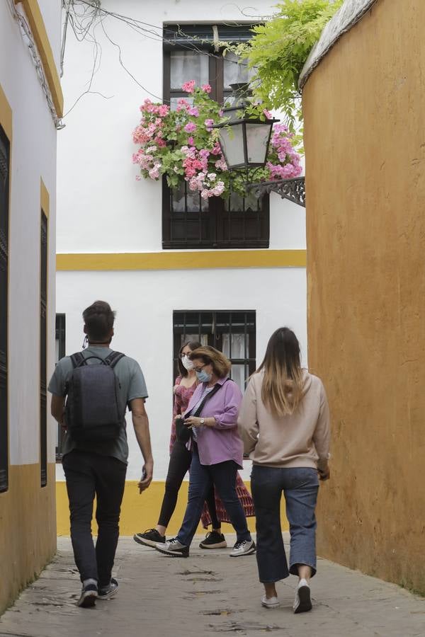 Ambiente por las calles del Centro de Sevilla