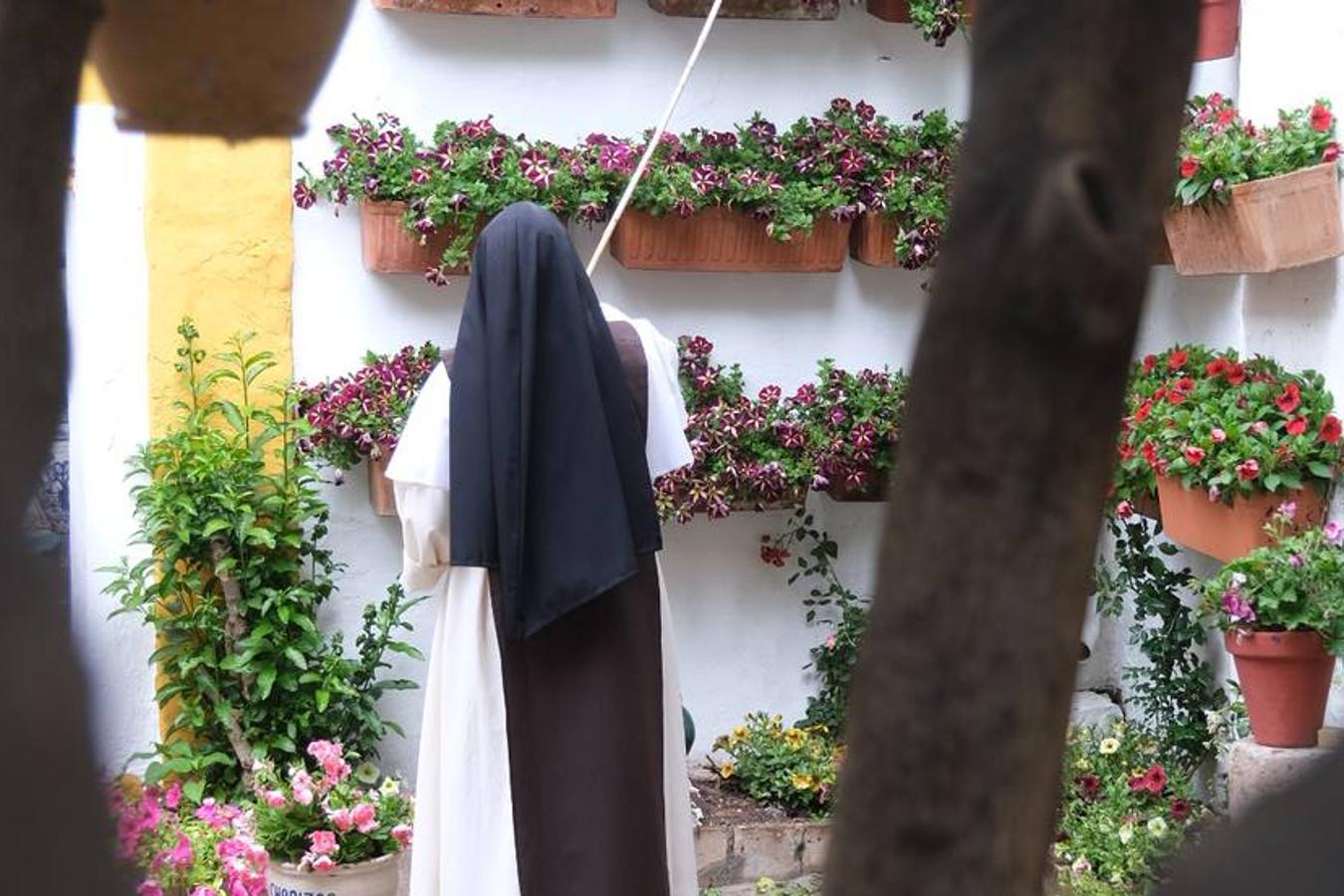 Concurso | Las flores divinas de Santa Marta para el centenario de los Patios