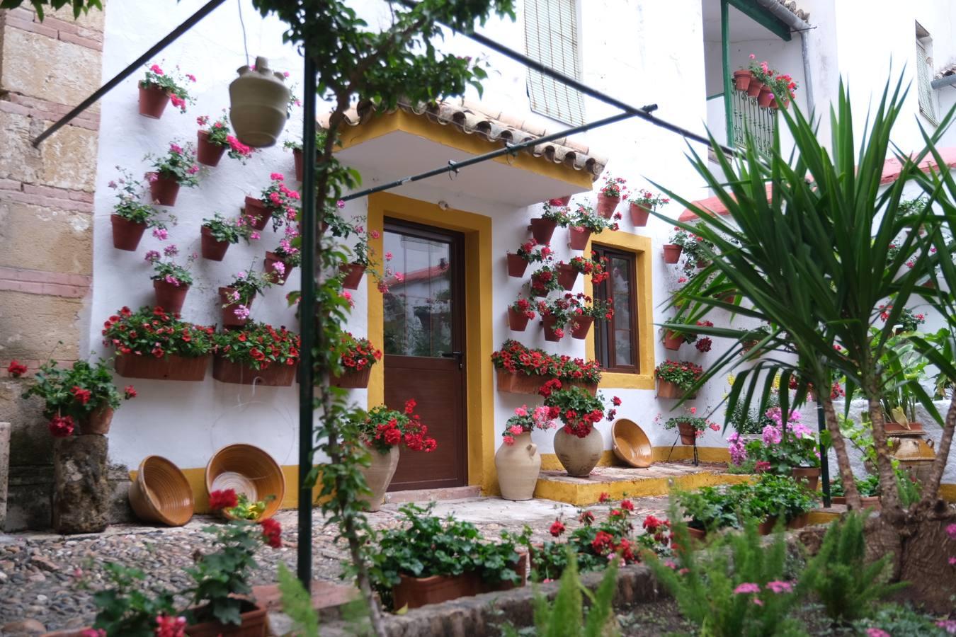 Patios Córdoba 2021 | El patio de clausura de Santa Marta, en imágenes