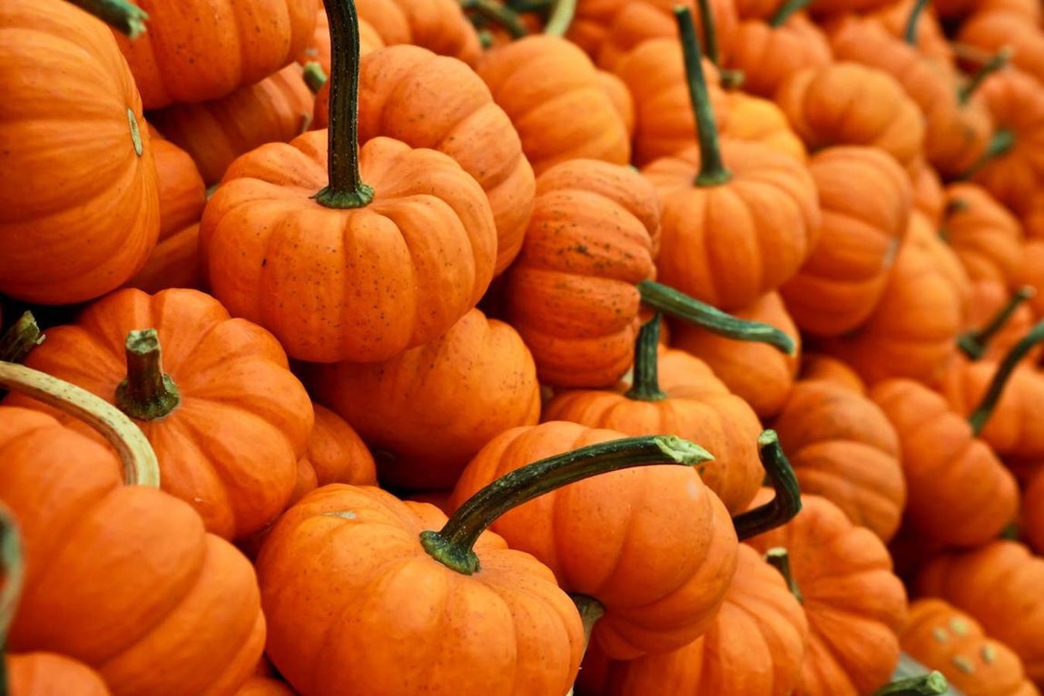 Calabaza. El consumo de calabaza nos aporta beneficios para el corazón, gracias a su alto contenido en vitamina A, y nos ayuda también con la acumulación de líquidos, ya que tiene el beneficioso combo de gran contenido de agua y potasio.