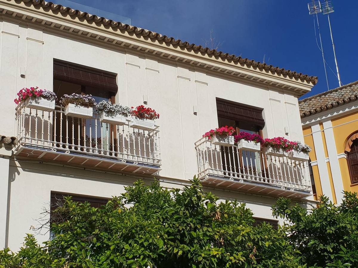 Balcones y rincones llenos de flores en el barrio de Santa Cruz