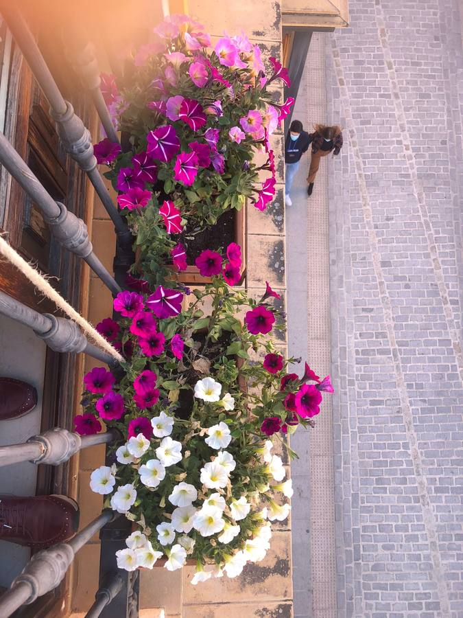 Balcones y rincones llenos de flores en el barrio de Santa Cruz