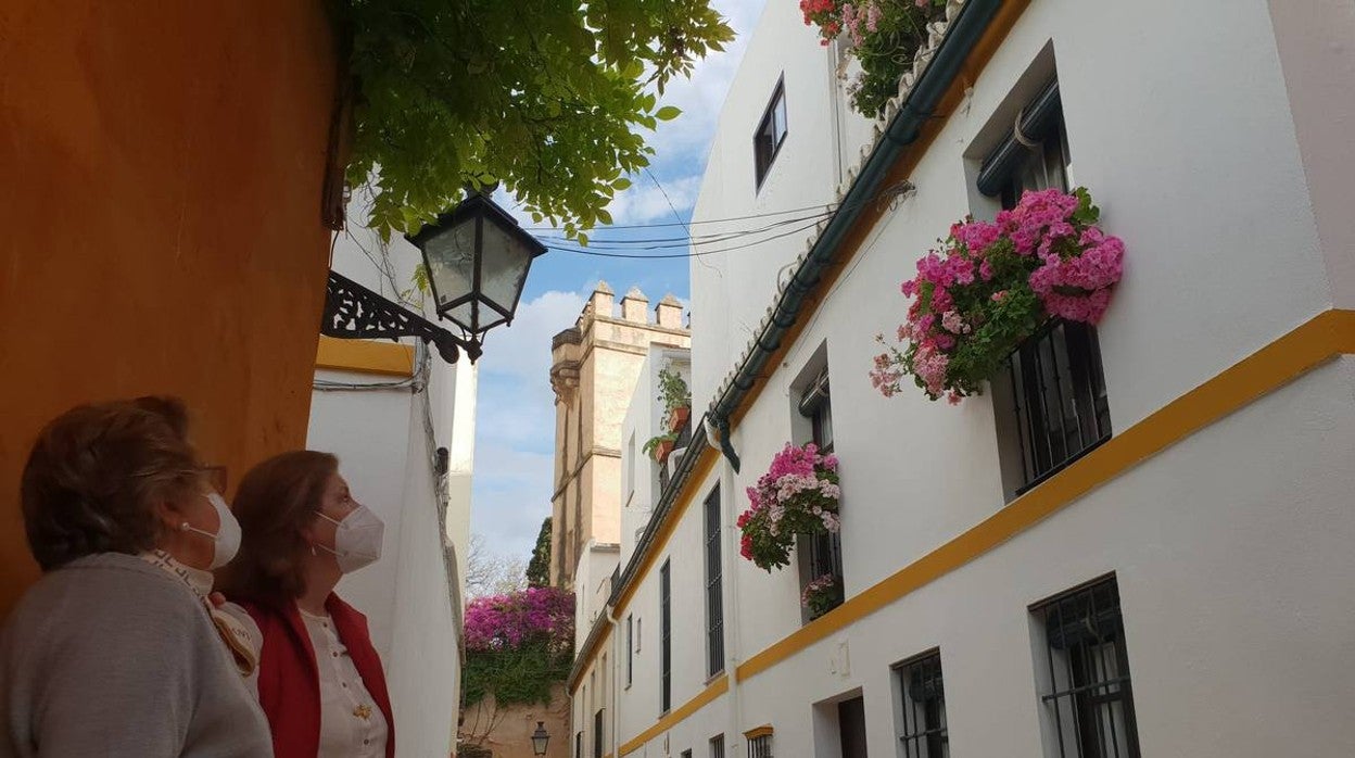 En imágenes, ruta por los balcones y rincones floridos del barrio de Santa Cruz en Sevilla