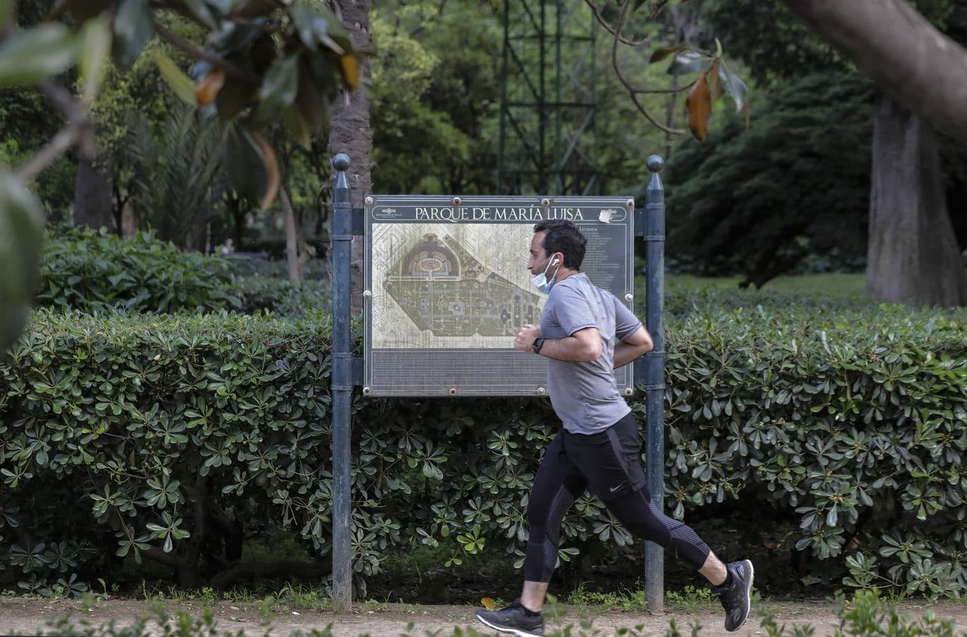 Parque de María Luisa, el gimnasio de los sevillanos