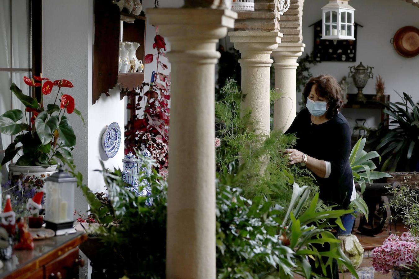 Los preparativos de los Patios de Córdoba, en imágenes