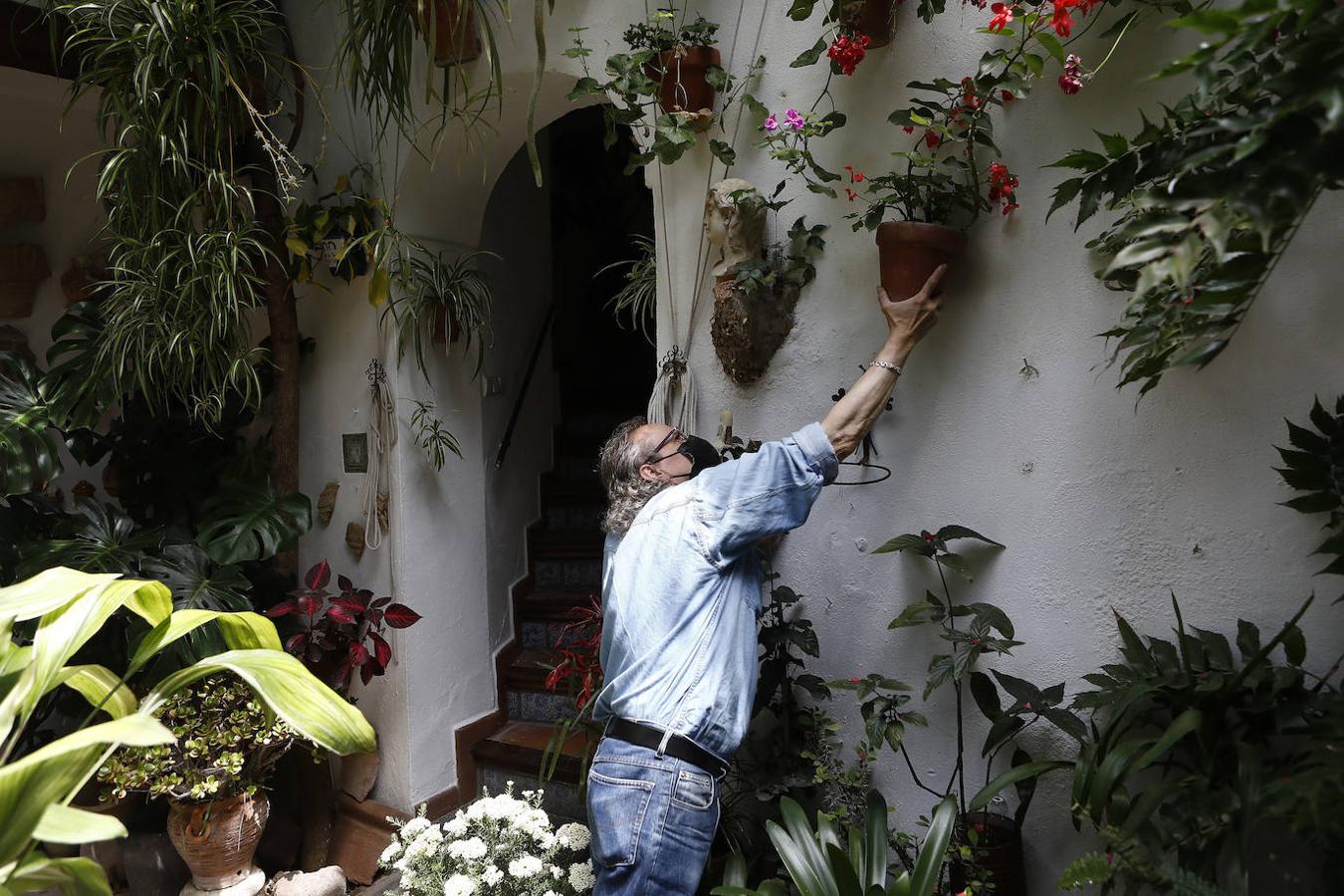 Los preparativos de los Patios de Córdoba, en imágenes