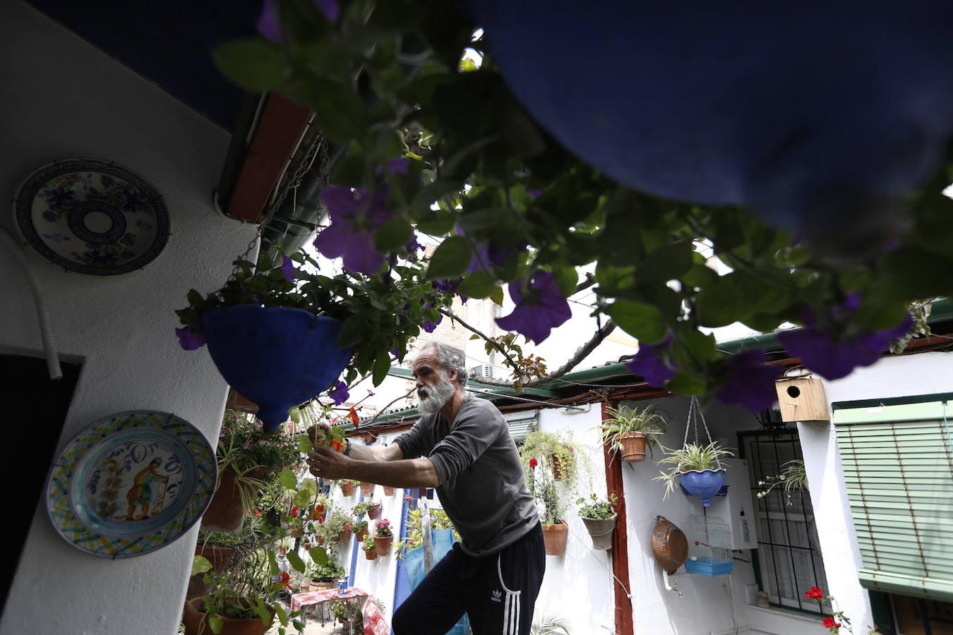 Los preparativos de los Patios de Córdoba, en imágenes