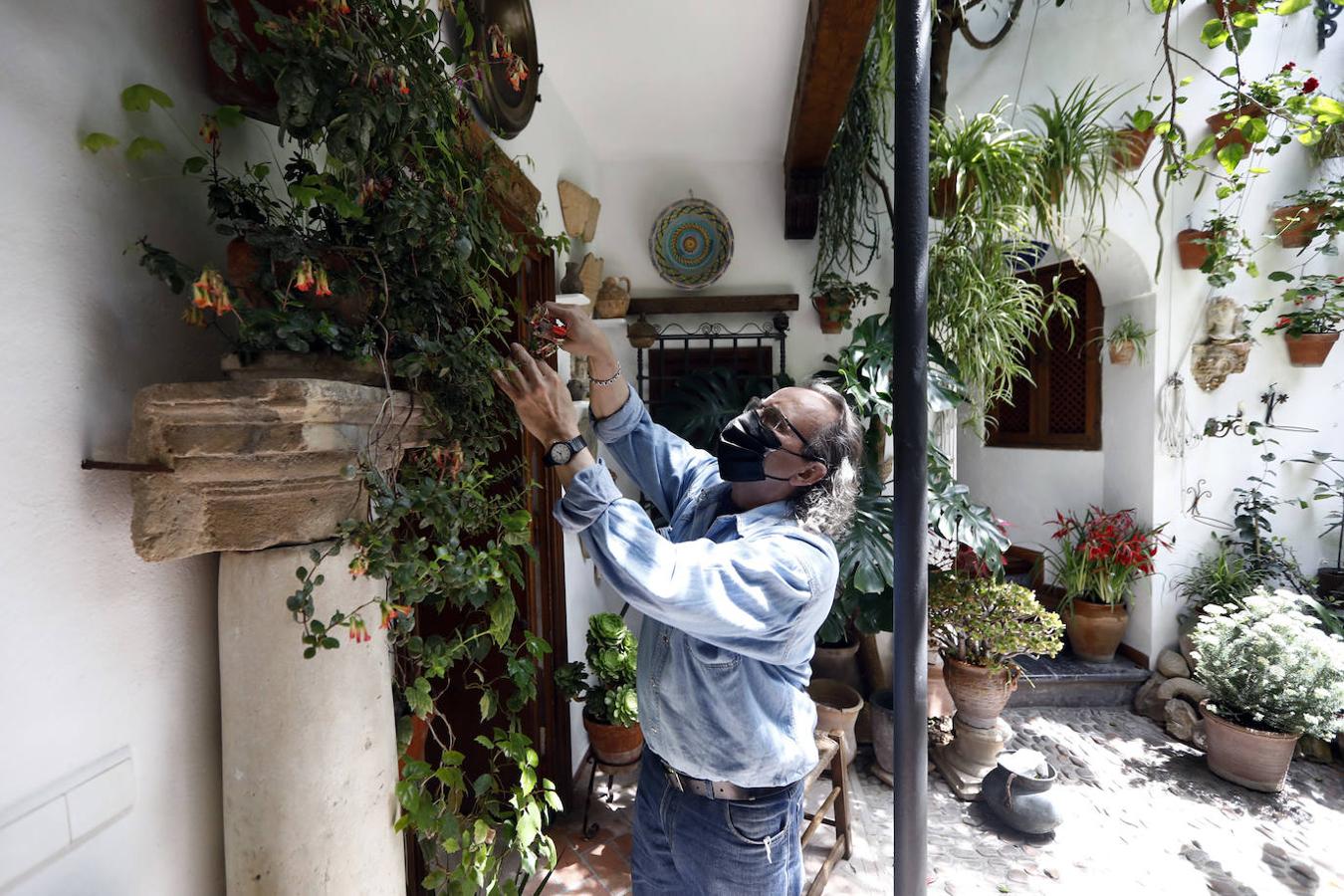 Los preparativos de los Patios de Córdoba, en imágenes