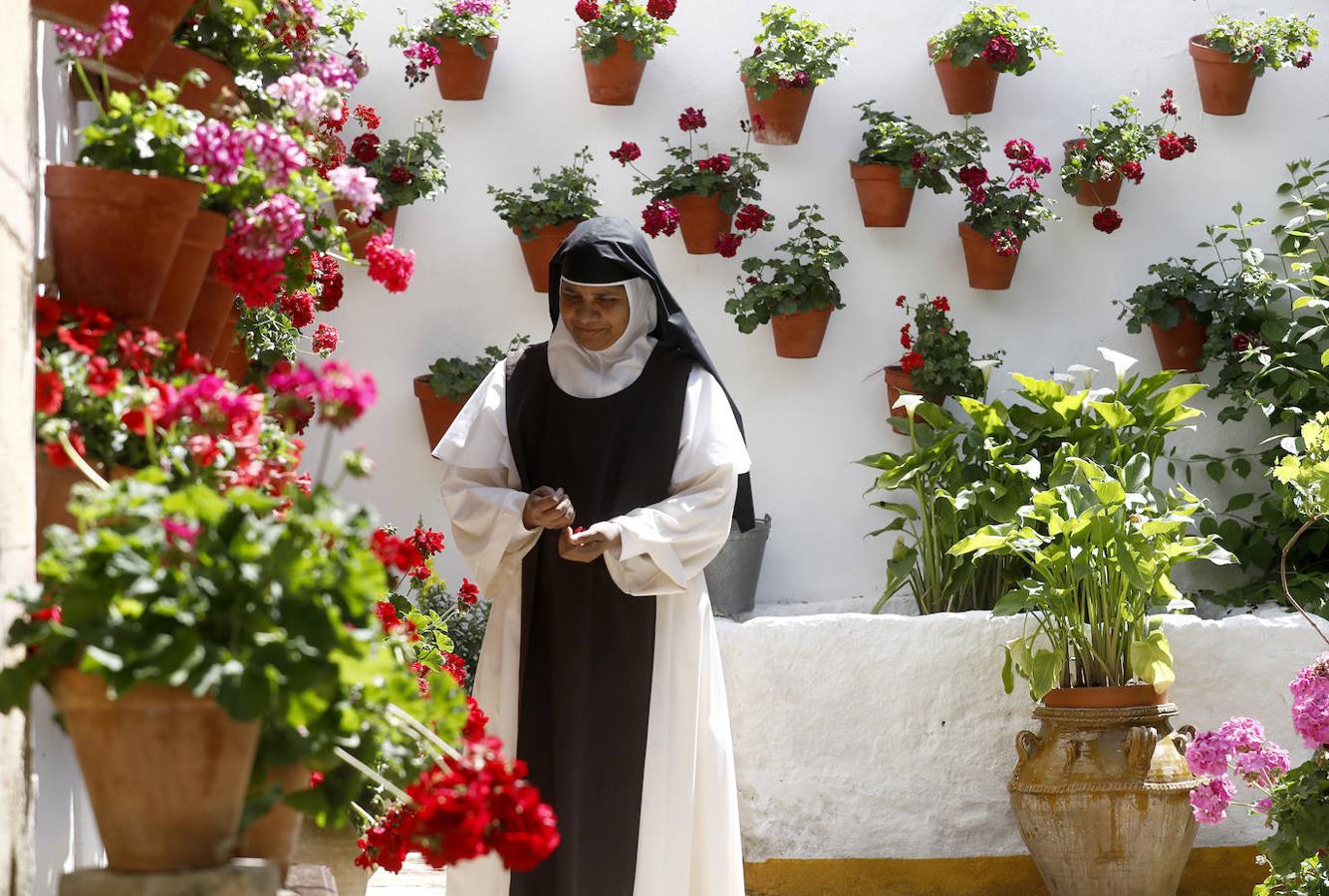 Los preparativos de los Patios de Córdoba, en imágenes